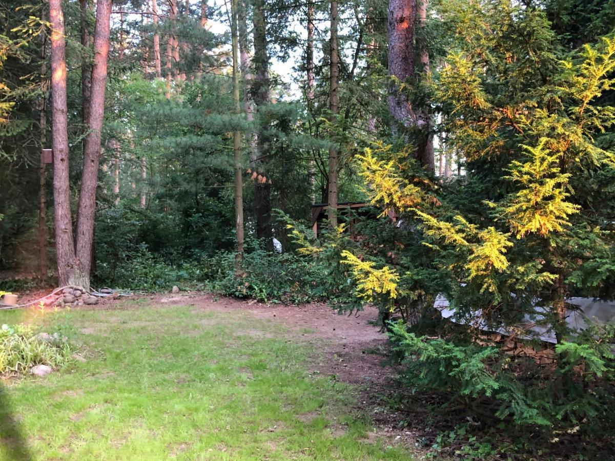 Petersdorf  Ferienhaus Reetdach 1300Qm Privatgrundstueck Bootssteg Sauna Templin Luebbesee Uckermark Erholung Pur Seenplatte מראה חיצוני תמונה